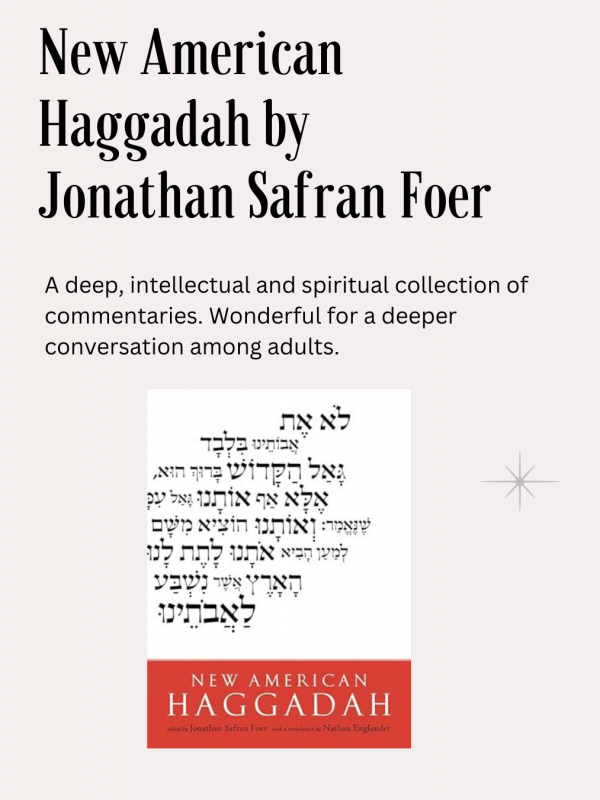 New American Haggadah, Jonathan Safran Foer, ed., A deep, intellectual and spiritual collection of commentaries.  Wonderful for a deeper conversation among adults.